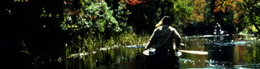 Canoing down Cedar Creek in Barnegat Bay Region of the Trail.
